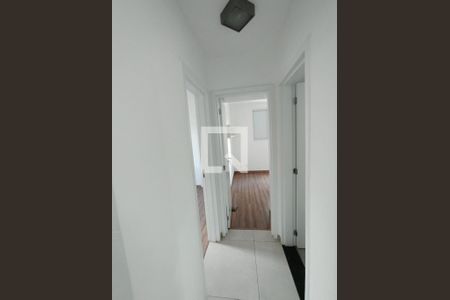 Corredor de apartamento para alugar com 2 quartos, 55m² em Buritis, Belo Horizonte