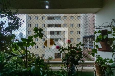 Vista da Sala de apartamento à venda com 3 quartos, 96m² em Centro, São Bernardo do Campo