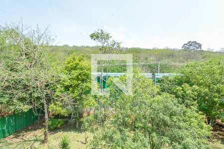Vista da Suíte de apartamento para alugar com 3 quartos, 96m² em Interlagos, São Paulo