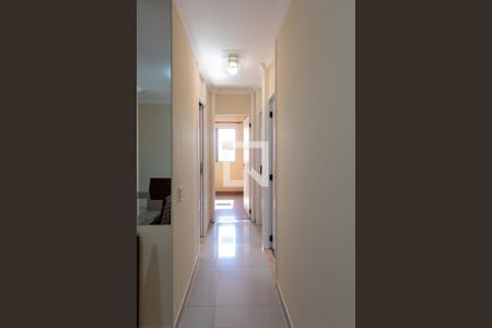 Corredor de acesso aos Quartos de apartamento para alugar com 2 quartos, 65m² em Vila Nova, Campinas