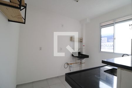Cozinha de apartamento para alugar com 2 quartos, 40m² em Chácaras Tubalina E Quartel, Uberlândia