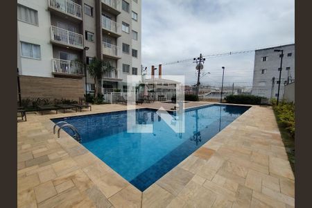 Área comum - Piscina de apartamento à venda com 2 quartos, 41m² em Vila Água Funda, São Paulo