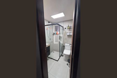 Banheiro de apartamento para alugar com 2 quartos, 58m² em Sítio Pinheirinho, São Paulo