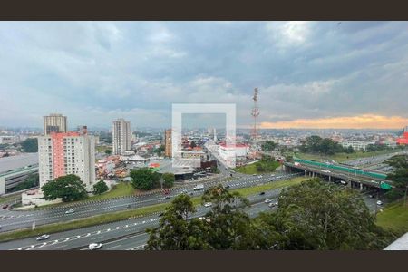 Apartamento à venda com 3 quartos, 127m² em Jardim Chácara Inglesa, São Bernardo do Campo