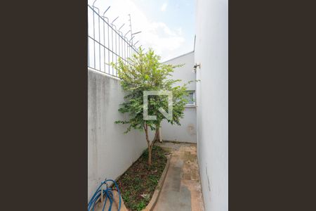 Área de Luz de casa à venda com 3 quartos, 320m² em Jardim Chapadão, Campinas