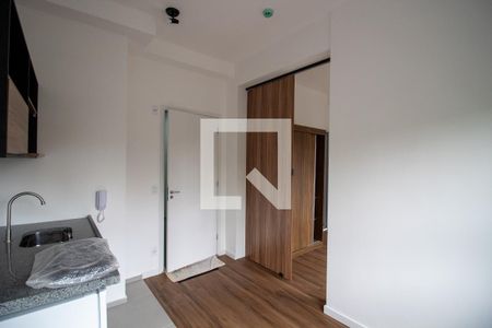 Sala/Cozinha de apartamento para alugar com 1 quarto, 21m² em Vila Sonia, São Paulo