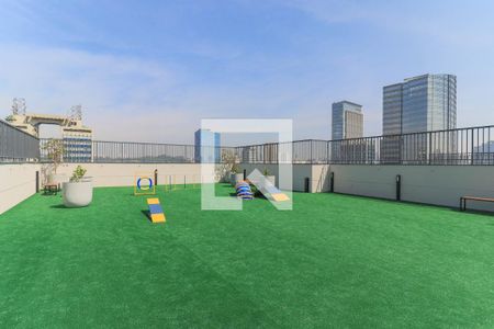 Área comum - Pet Place  de kitnet/studio à venda com 1 quarto, 24m² em Vila Cordeiro, São Paulo