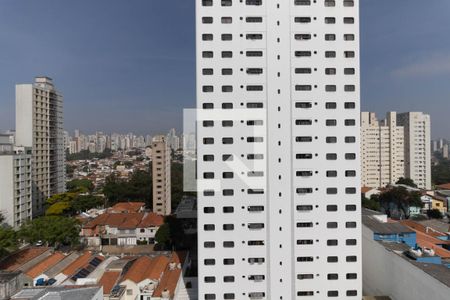 Vista da Varanda da Sala de apartamento para alugar com 3 quartos, 80m² em Cambuci, São Paulo