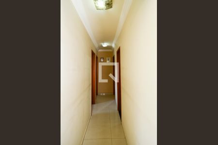 Corredor de apartamento à venda com 3 quartos, 70m² em Grajaú, Belo Horizonte