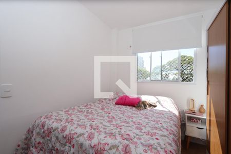 Quarto 1 de apartamento para alugar com 2 quartos, 36m² em Jardim Santa Adelia, São Paulo