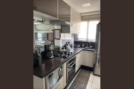 Cozinha - Armários de apartamento para alugar com 2 quartos, 58m² em Casa Branca, Santo André