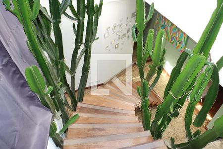Escada de casa de condomínio para alugar com 6 quartos, 700m² em Granja Viana, Cotia