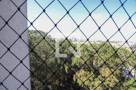 Varanda da Sala de apartamento à venda com 3 quartos, 63m² em Vila Mendes, São Paulo