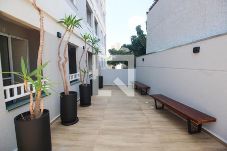 Área comum de apartamento para alugar com 2 quartos, 36m² em Vila Plana, São Paulo