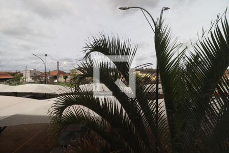 Cozinha Vista de apartamento para alugar com 2 quartos, 45m² em Conjunto Habitacional Jardim das Palmeiras, Ribeirão Preto