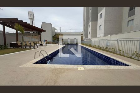 Área comum - Piscina de apartamento à venda com 3 quartos, 70m² em Palmeiras, Belo Horizonte