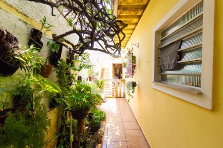 Sala - Jardim de casa à venda com 3 quartos, 250m² em Jardim Consorcio, São Paulo