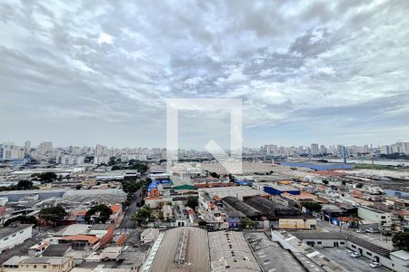 Vista da Varanda de apartamento para alugar com 2 quartos, 45m² em Vila Carioca, São Paulo