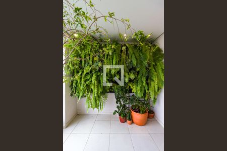 Apartamento à venda com 2 quartos, 84m² em Parque Reboucas, São Paulo