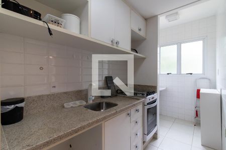 Cozinha de apartamento para alugar com 1 quarto, 50m² em Cambuí, Campinas