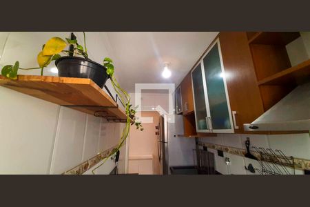 Cozinha de apartamento para alugar com 3 quartos, 54m² em Bussocaba, Osasco