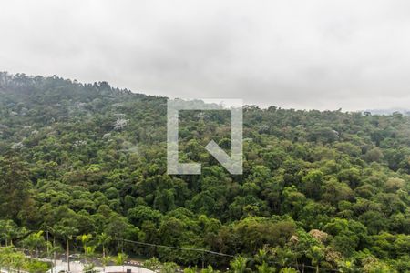 Vista da Varanda de apartamento para alugar com 4 quartos, 284m² em Alphaville, Santana de Parnaíba