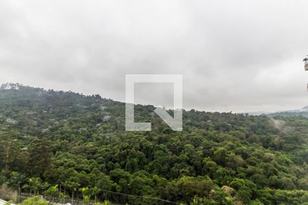 Vista da Varanda de apartamento para alugar com 4 quartos, 284m² em Alphaville, Santana de Parnaíba
