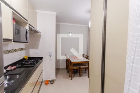 Cozinha de apartamento à venda com 2 quartos, 100m² em Jardim Santo Alberto, Santo André