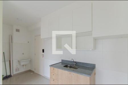 Cozinha e Área de Serviço de apartamento para alugar com 2 quartos, 36m² em Ipiranga, São Paulo
