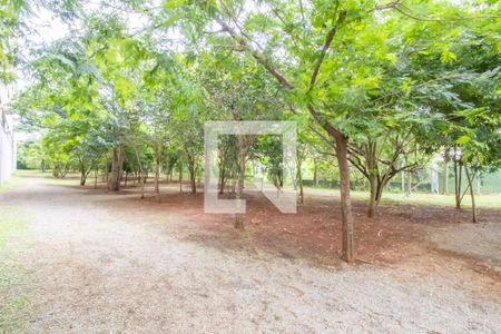 Bosque de apartamento para alugar com 2 quartos, 47m² em Novo Osasco, Osasco