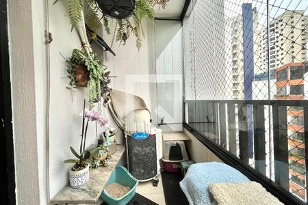 Varanda de apartamento para alugar com 2 quartos, 65m² em Vila Mascote, São Paulo