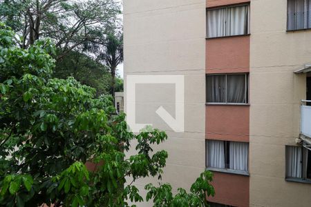 Vista da Sala de apartamento para alugar com 2 quartos, 50m² em Super Quadra Morumbi, São Paulo