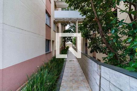 Área comum de apartamento para alugar com 2 quartos, 50m² em Super Quadra Morumbi, São Paulo
