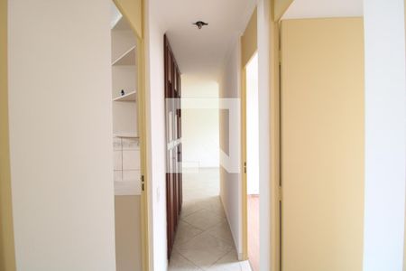 Corredor de apartamento para alugar com 3 quartos, 77m² em Vila Sofia, São Paulo