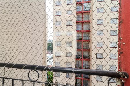 Varanda da Sala de apartamento para alugar com 2 quartos, 48m² em Vila Carmosina, São Paulo