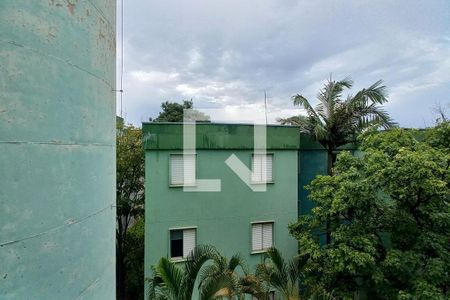 Apartamento à venda com 3 quartos, 79m² em Vila Manoel Ferreira, Campinas