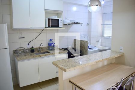 Cozinha de apartamento para alugar com 1 quarto, 47m² em Subsetor Sul - 7 (s-7), Ribeirão Preto