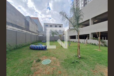 Espaço Pet de apartamento para alugar com 2 quartos, 38m² em Vila Hebe, São Paulo