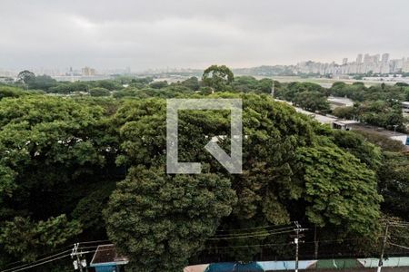 Vista de apartamento para alugar com 1 quarto, 30m² em Santana, São Paulo