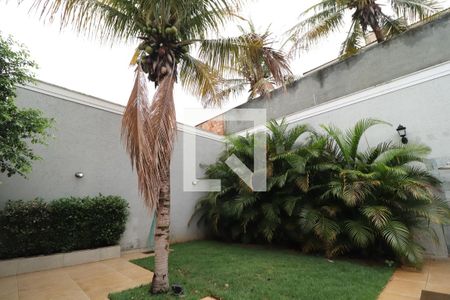 Jardim de casa para alugar com 4 quartos, 322m² em Morada da Colina, Uberlândia