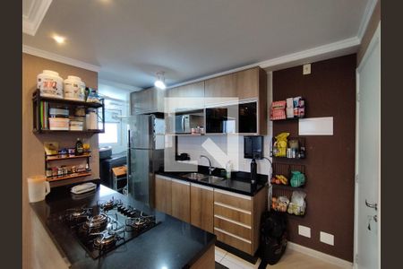 Cozinha - Armários de apartamento à venda com 3 quartos, 65m² em Jardim Celeste, São Paulo