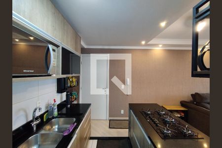 Cozinha - Armários de apartamento à venda com 3 quartos, 65m² em Jardim Celeste, São Paulo