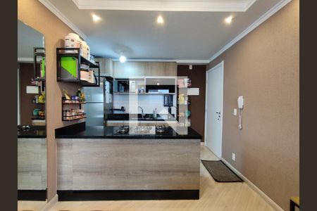 Cozinha - Armários de apartamento à venda com 3 quartos, 65m² em Jardim Celeste, São Paulo