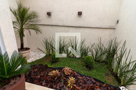 Entrada - Jardim de casa à venda com 3 quartos, 280m² em Parque Mandaqui, São Paulo