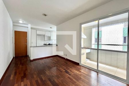 Sala de apartamento para alugar com 2 quartos, 55m² em Mirandópolis, São Paulo