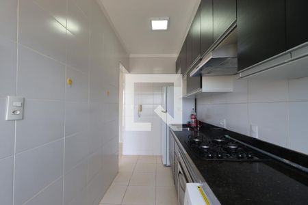 Cozinha de apartamento para alugar com 2 quartos, 54m² em Subsetor Oeste - 6 (o-6), Ribeirão Preto