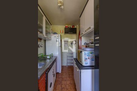 Cozinha e Área de Serviço de apartamento para alugar com 2 quartos, 58m² em Camaquã, Porto Alegre