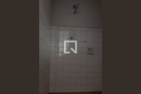 Banheiro Social de casa para alugar com 3 quartos, 187m² em Vila Santa Catarina, Americana