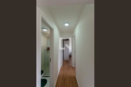 Corredor de apartamento para alugar com 2 quartos, 46m² em Vila Zat, São Paulo