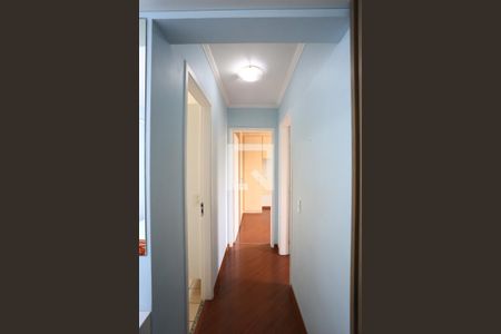 Corredor de apartamento para alugar com 2 quartos, 58m² em Jardim Umarizal, São Paulo